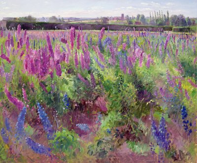 Het Delphiniumveld, 1991 door Timothy Easton